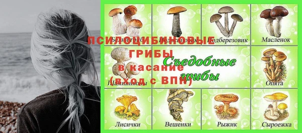 СК Алексеевка