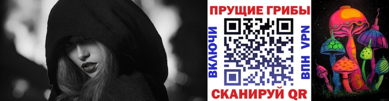 Галлюциногенные грибы Psilocybe  Таштагол 